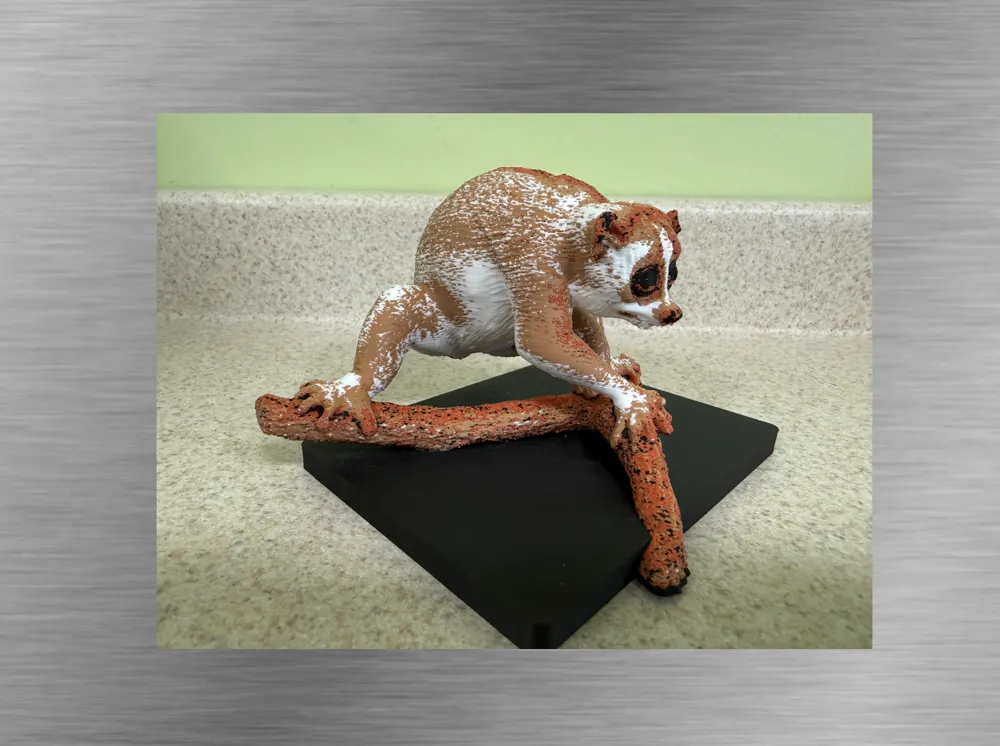 Slow Loris -Ultra-realistic Figure, photo 4 of 4 - Slow Loris -Ultra-realistic Figure Miniatures