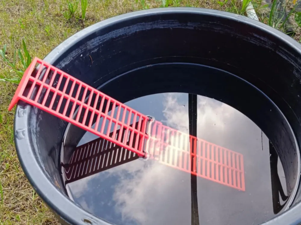 Small Animal & Bird Ladder, Feeder Ramp