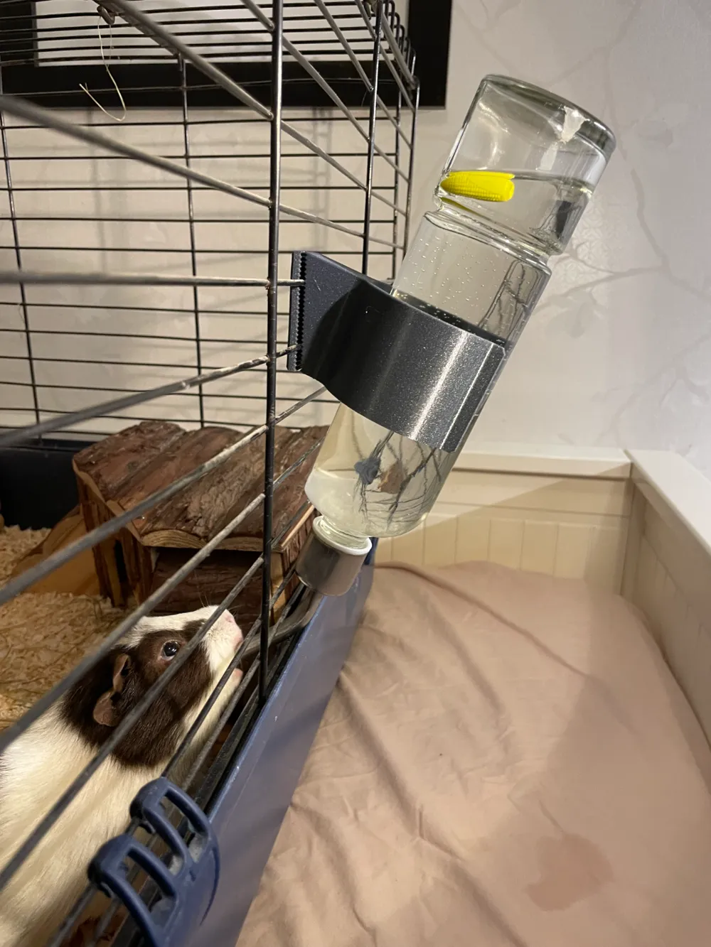 Snap-in holder for water bottle -69mm-Trixie 500ml, photo 3 of 4 - Snap-in holder for water bottle -69mm-Trixie 500ml Household