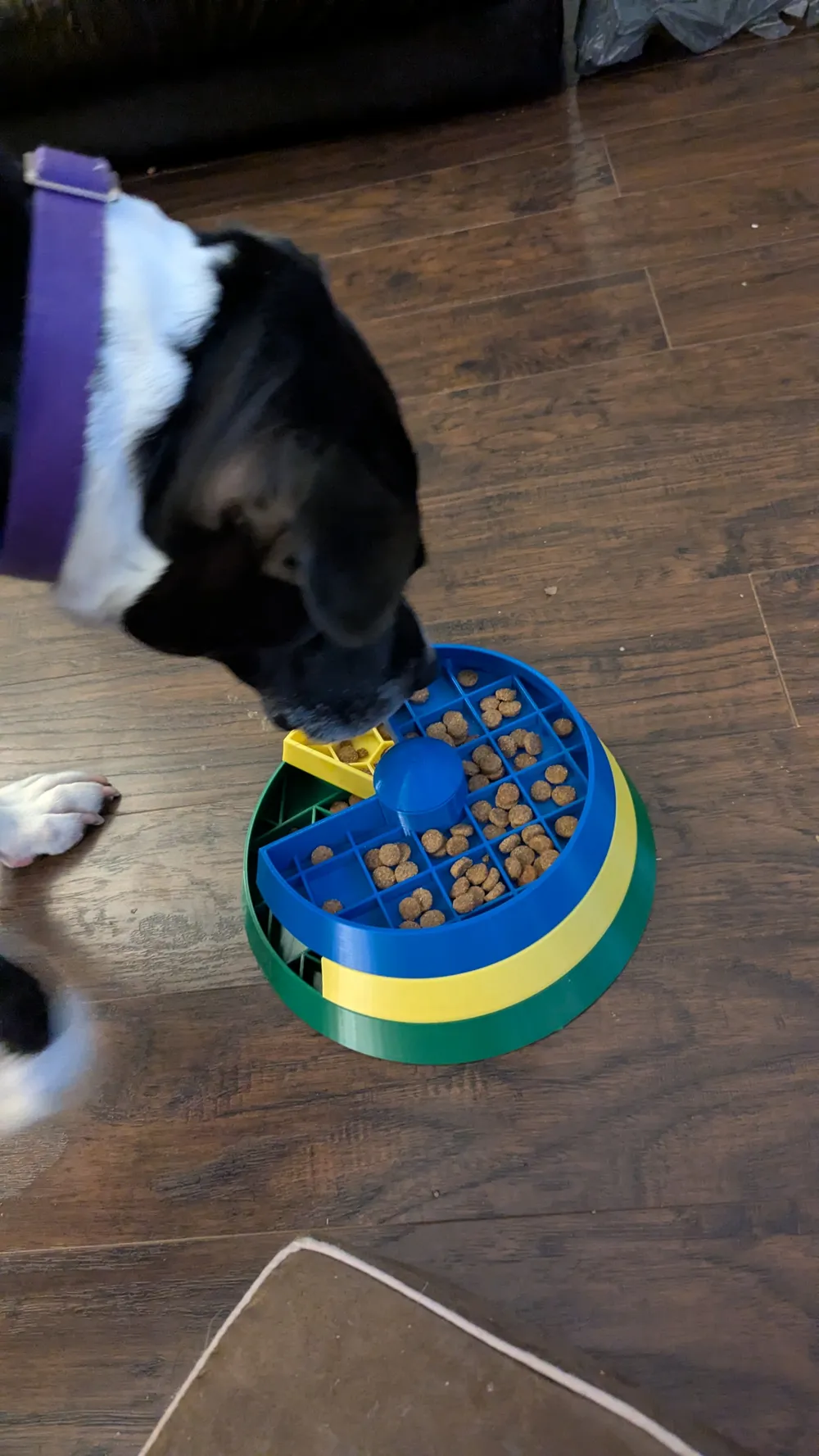 Spin & Seek Interactive Dog Slow Feeder Bowl, photo 3 of 4 - Spin & Seek Interactive Dog Slow Feeder Bowl Pets
