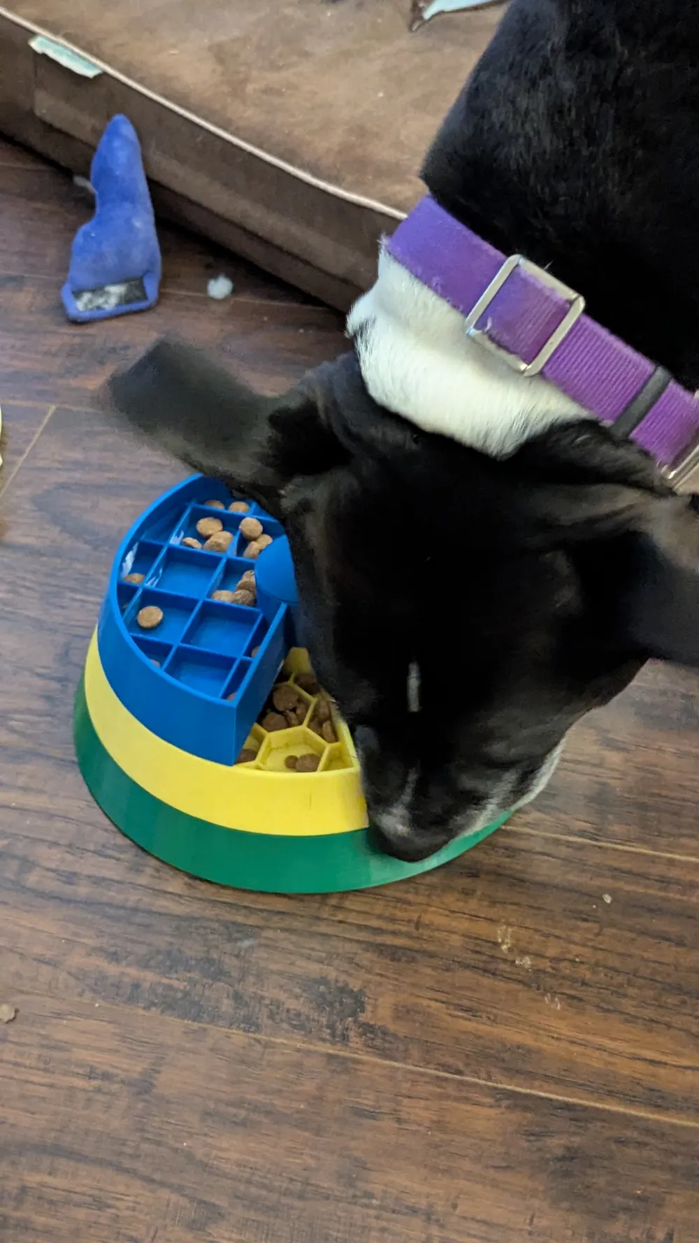 Spin & Seek Interactive Dog Slow Feeder Bowl, photo 4 of 4 - Spin & Seek Interactive Dog Slow Feeder Bowl Pets