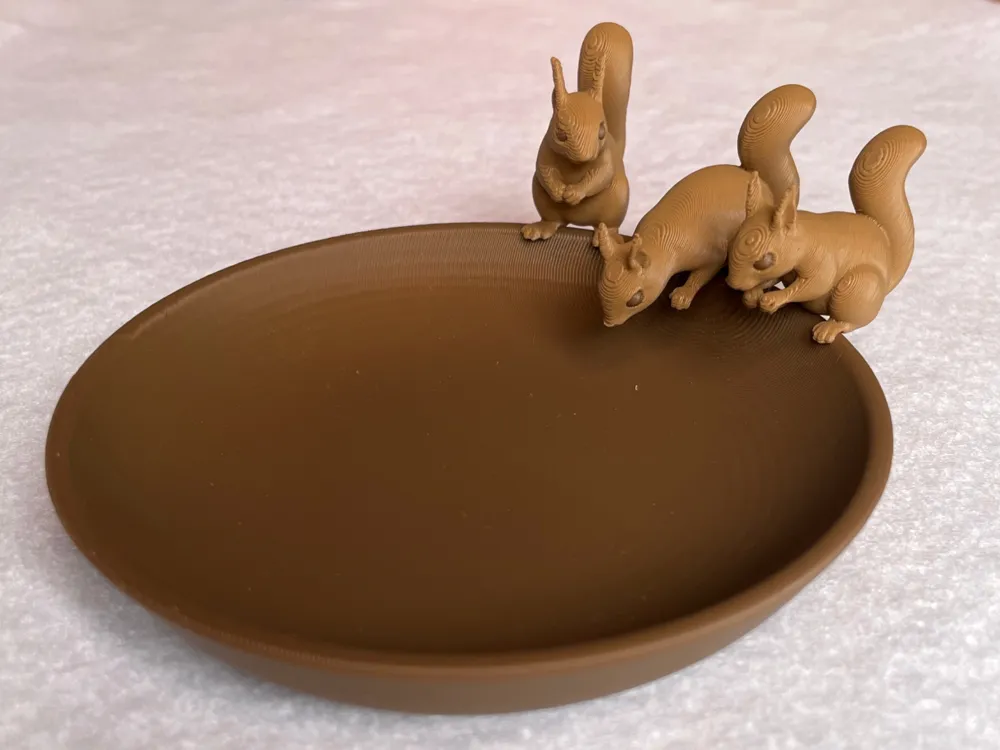 Squirrel Trinket Dish, photo 4 of 4 - Squirrel Trinket Dish Storage & Organisation