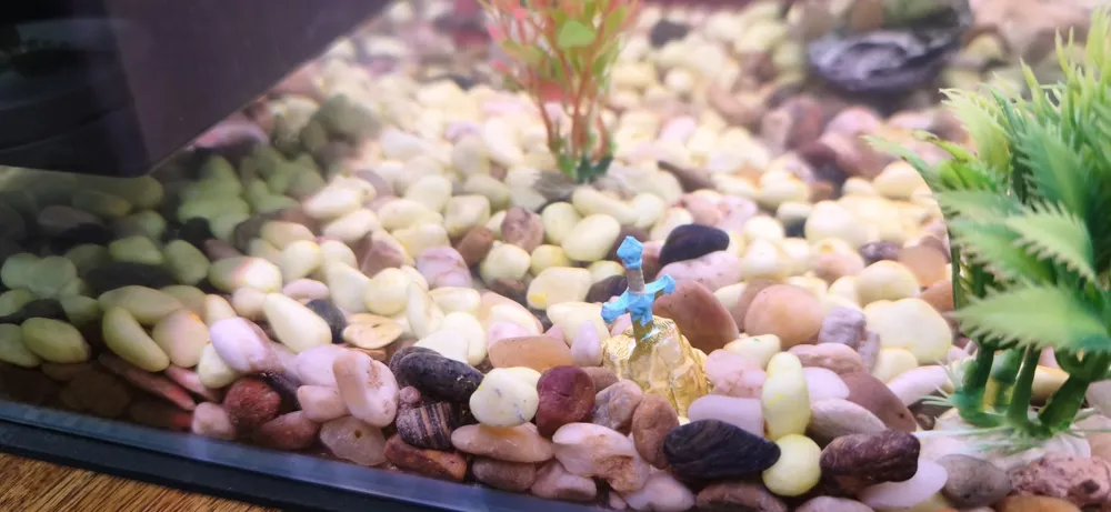 Sword in the Stone, Mini Aquarium / Desk Statue, photo 3 of 4 - Sword in the Stone, Mini Aquarium / Desk Statue Household