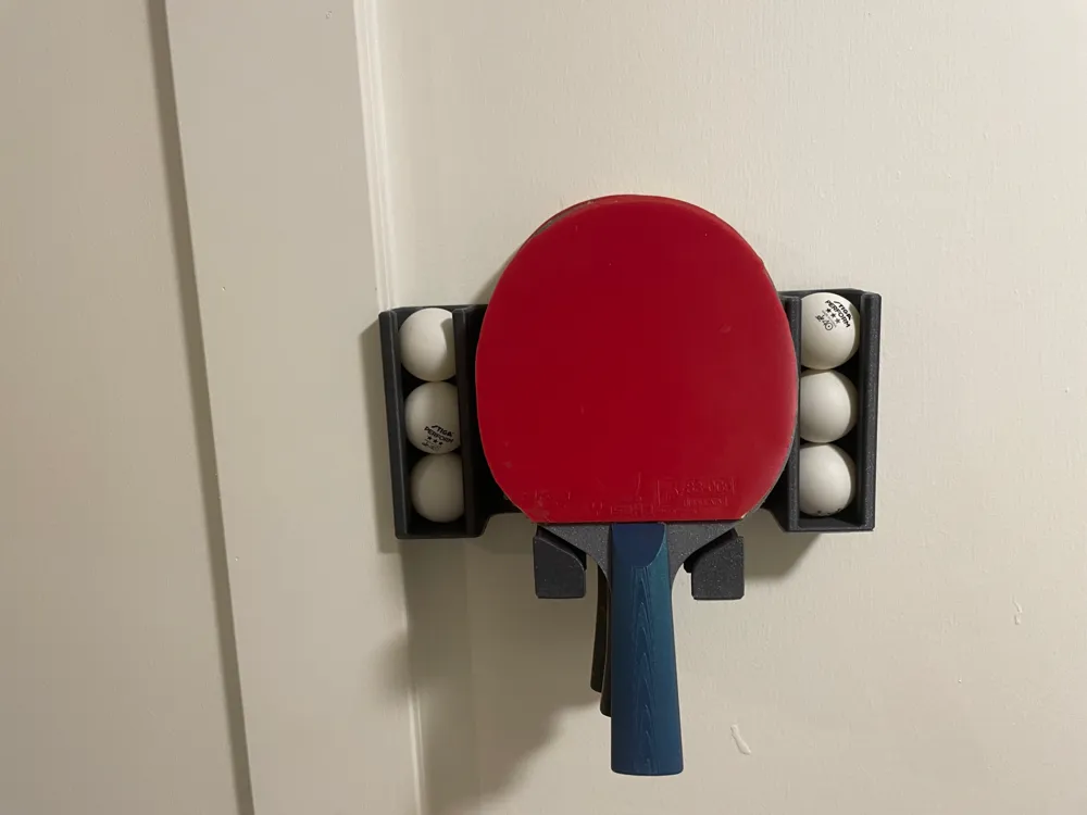 Table Tennis Organizer - Sport & Outdoors, in stock in India