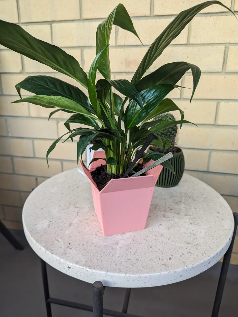 Takeout & Chop Sticks Plant Pot, photo 2 of 4 - Takeout & Chop Sticks Plant Pot Household