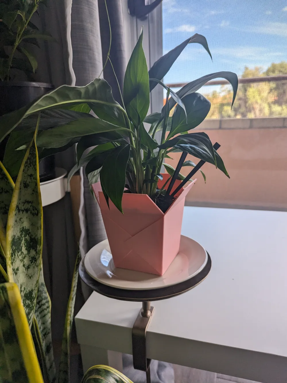 Takeout & Chop Sticks Plant Pot - Decor, in stock in India