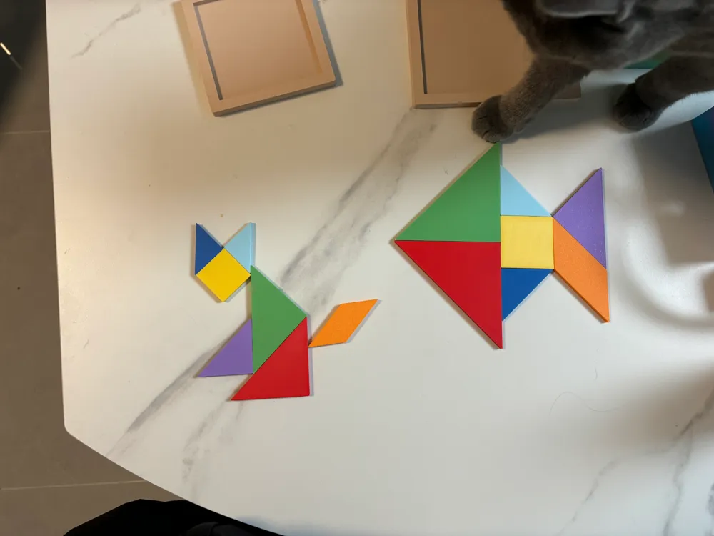 Tangram Puzzle Toy, photo 2 of 4 - Tangrams, Tile & Sliding Puzzles, seven