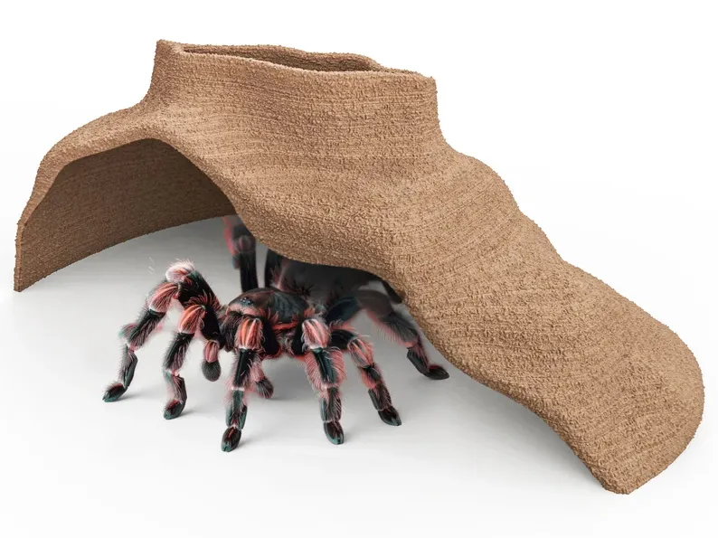 Tarantula-Reptile-Terrarium Cave