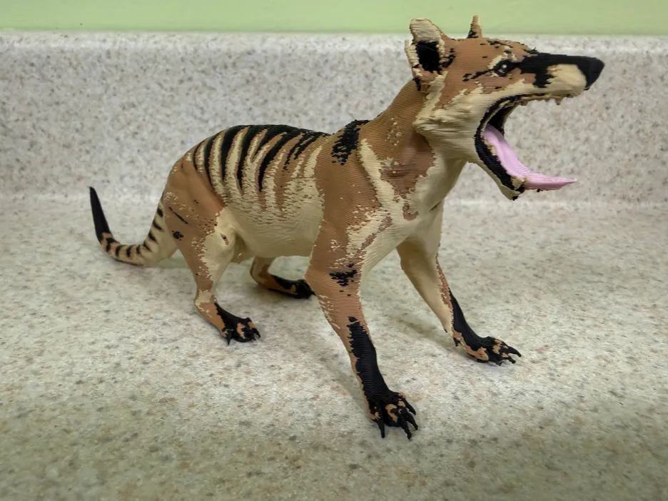 Tasmanian Tiger/thylacine-ultra realistic figure, photo 2 of 3 - Tasmanian Tiger/thylacine-ultra realistic figure Miniatures