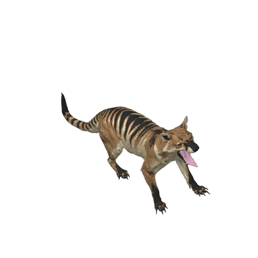 Tasmanian Tiger/thylacine-ultra realistic figure, photo 3 of 3 - Tasmanian Tiger/thylacine-ultra realistic figure Miniatures
