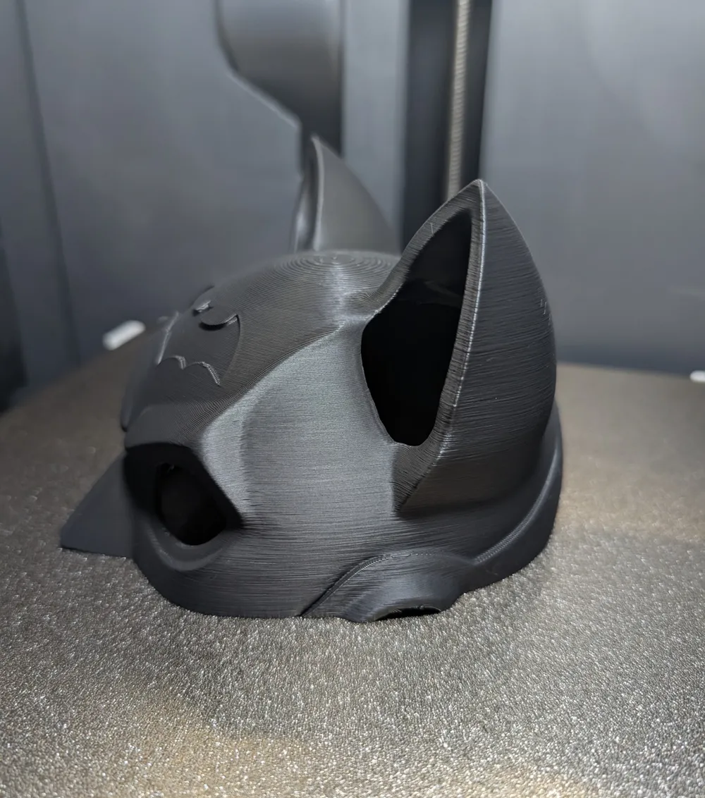 The best batman cat helmet ever!, photo 3 of 4 - The best batman cat helmet ever! Props & Cosplay