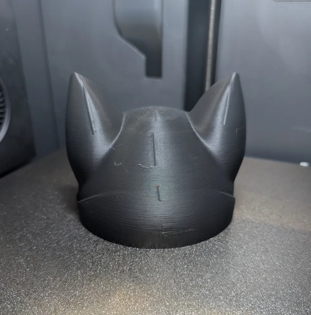 The best batman cat helmet ever!, photo 4 of 4 - The best batman cat helmet ever! Props & Cosplay