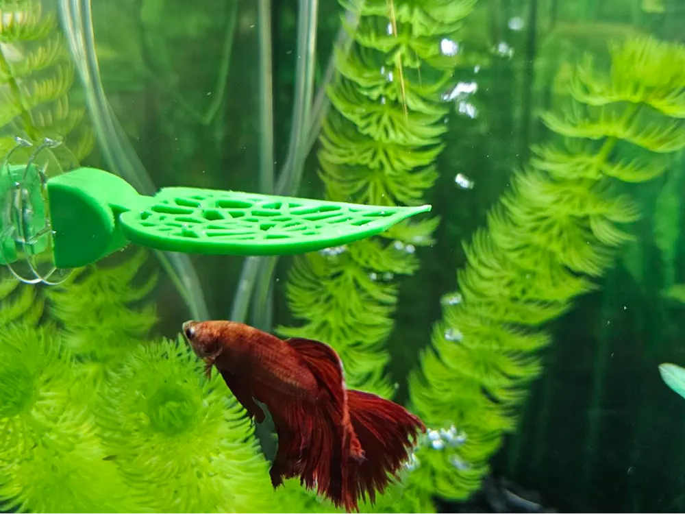 THE BETTER BETTA BED