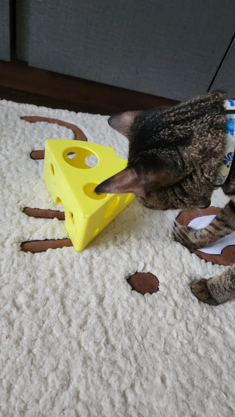 The Big Cheese - Cat Treat Toy, photo 3 of 4 - Cat Bowls & Feeders, dispenser