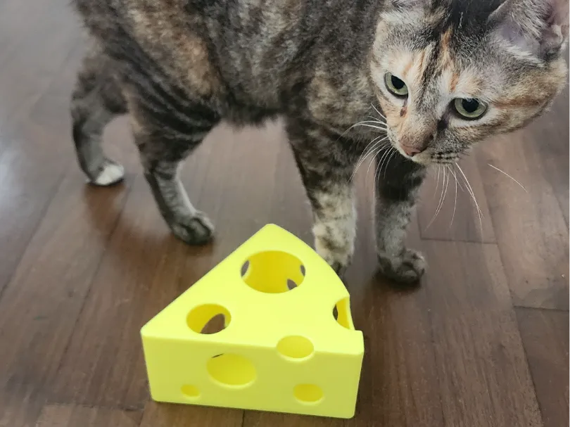The Big Cheese - Cat Treat Toy