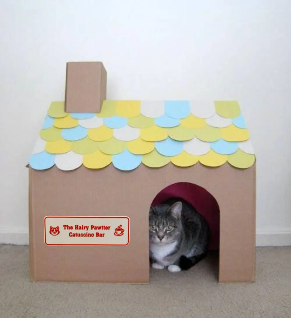 The Hairy Pawtter: Catuccino Bar - Cat House Sign, photo 2 of 4 - The Hairy Pawtter: Catuccino Bar - Cat House Sign Home Decor Items