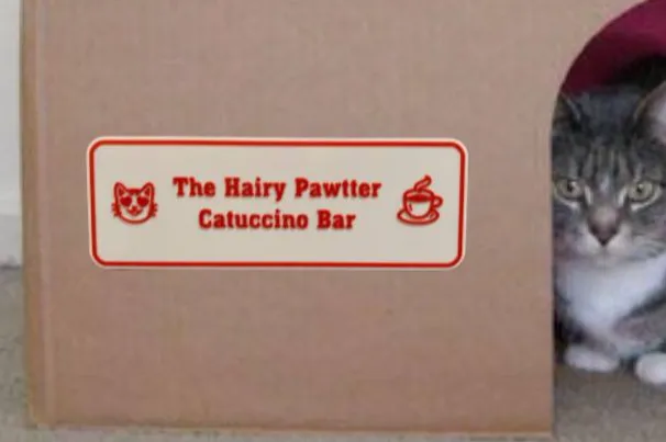 The Hairy Pawtter: Catuccino Bar - Cat House Sign - Name Plates & Door Signs, in stock