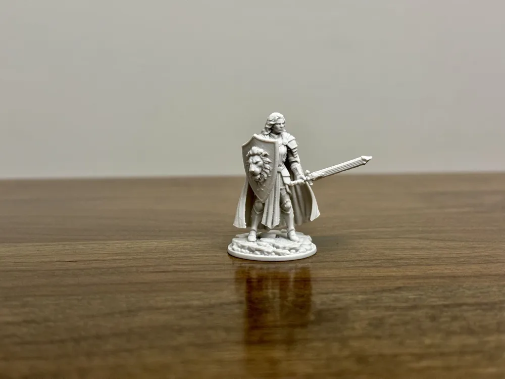 The Lion's Grace - D&D Miniature, photo 3 of 4 - The Lion's Grace - D&D Miniature Miniatures