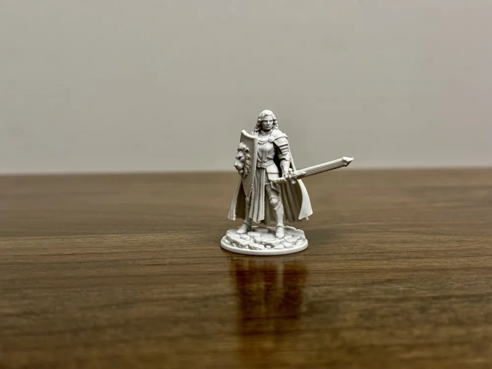 The Lion's Grace - D&D Miniature, photo 4 of 4 - The Lion's Grace - D&D Miniature Miniatures