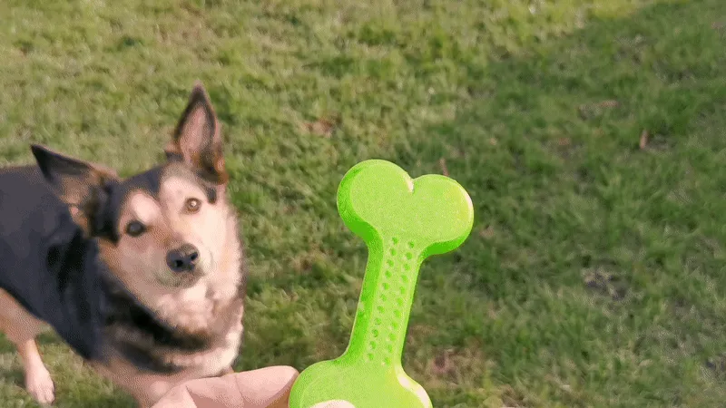 Throw Me A Bone - TPU Dog Toy - Chew Toys, in stock