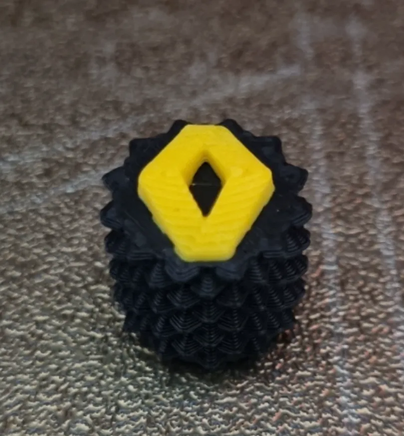 Tire Valve cup RENAULT