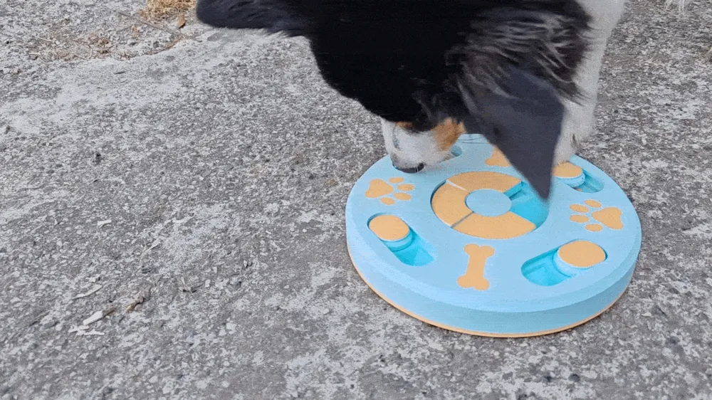 Treat Track Puzzle Feeder, photo 3 of 4 - Treat Track Puzzle Feeder Pets