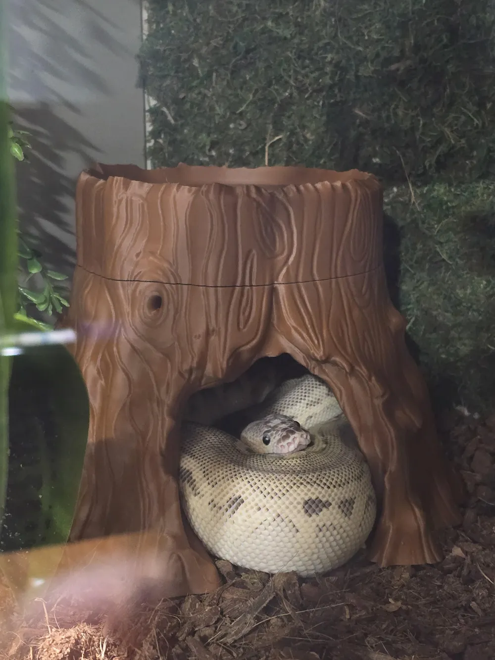 Tree Trunk 2-in-1 Snake Hide & Water Bowl, photo 3 of 4 - Tree Trunk 2-in-1 Snake Hide & Water Bowl Pets