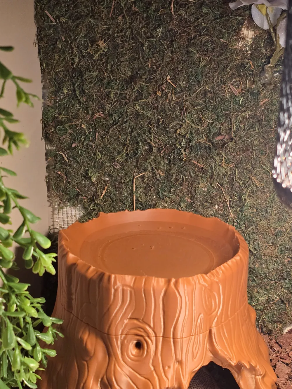 Tree Trunk 2-in-1 Snake Hide & Water Bowl, photo 4 of 4 - Tree Trunk 2-in-1 Snake Hide & Water Bowl Pets