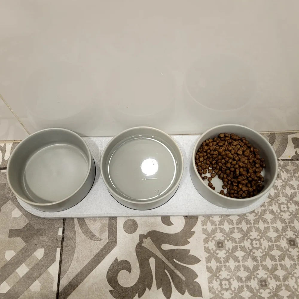 Triple Dog Bowl Stand, photo 3 of 3 - Triple Dog Bowl Stand Pets