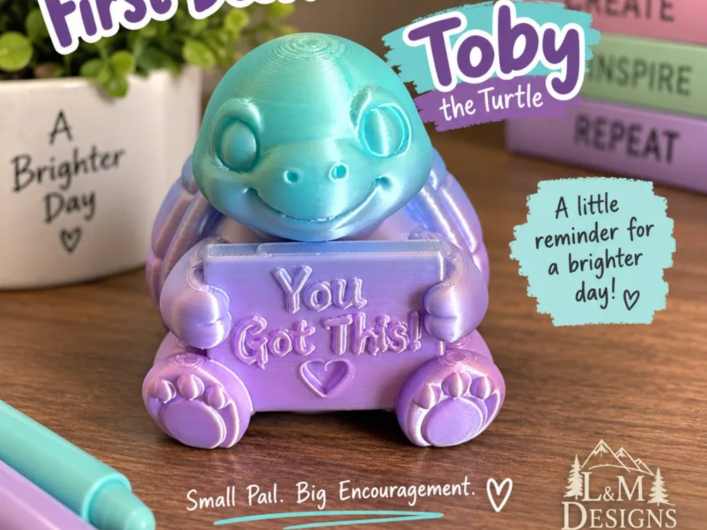 Turtle Desktop Encouragement, photo 3 of 4 - Turtle Desktop Encouragement Household