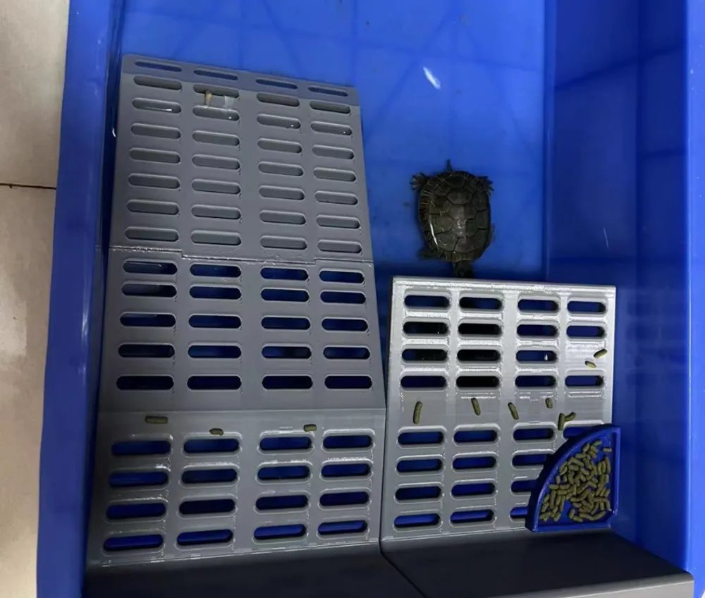 Turtle Tank Ramp