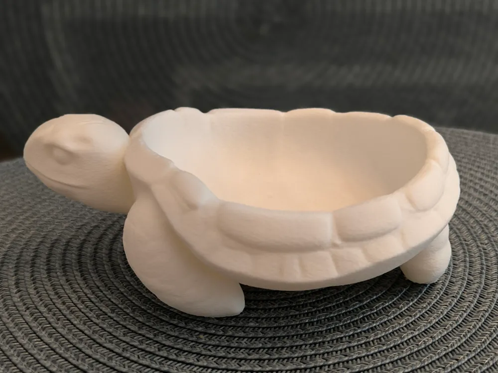 Turtle Tray / Bowl