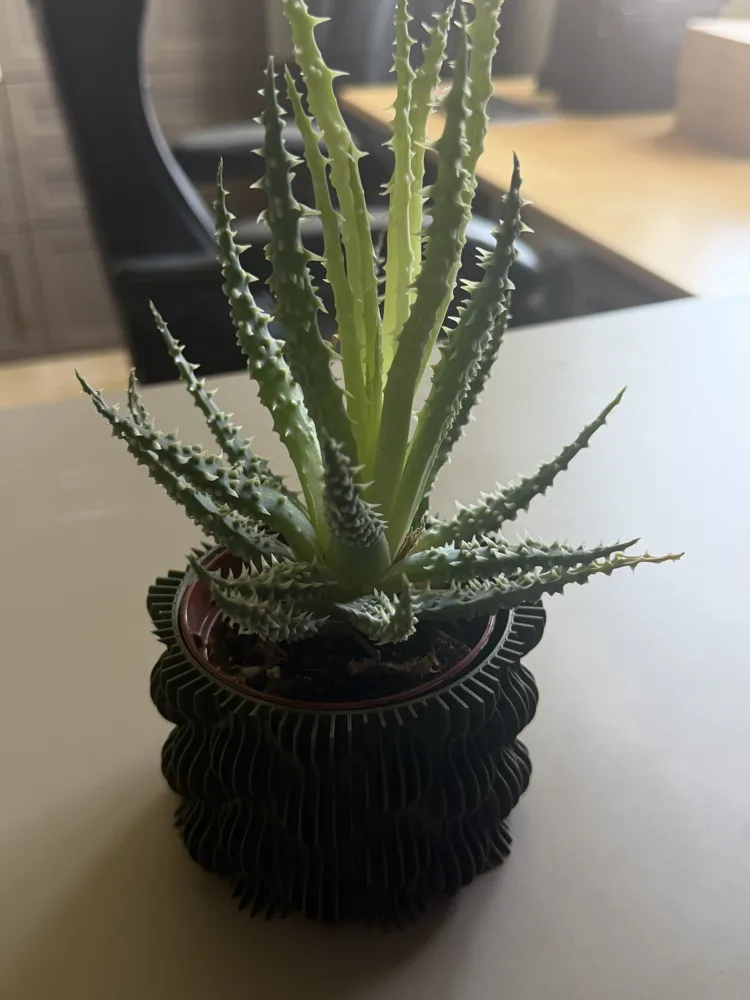 Two size Wave Planter Pot, photo 2 of 4 - Geometric & Modern Planters, decor