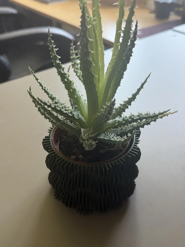 Two size Wave Planter Pot, photo 3 of 4 - Geometric & Modern Planters, modern