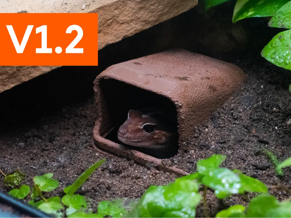 Underground Reptile Hide