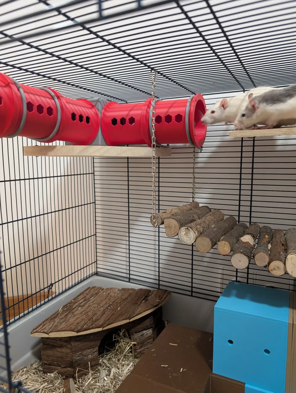 V2 Modular Rat & Rodent HQ Customizable Tunnel 80