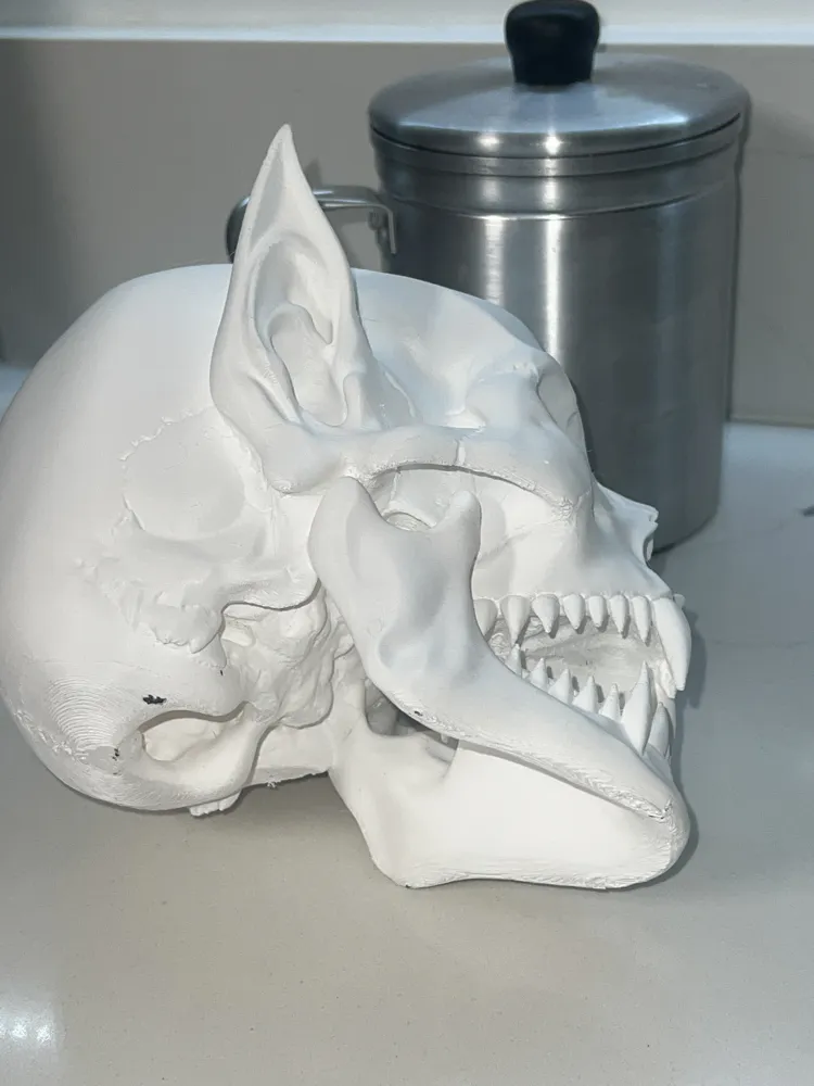 vampire skull, photo 2 of 4 - vampire skull Miniatures