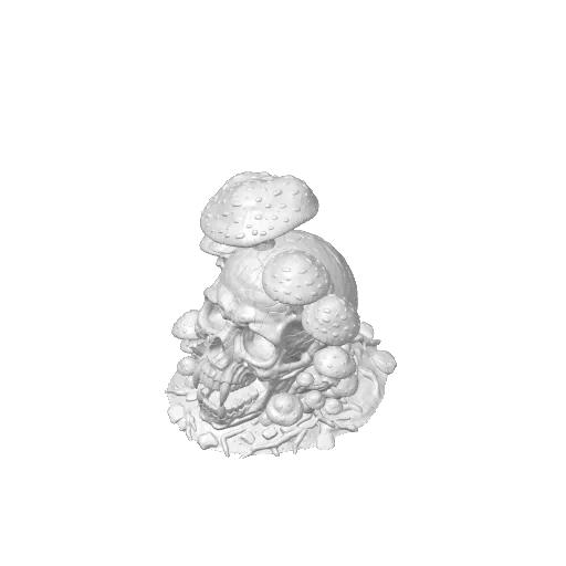 Vampire Skull with Mushrooms, photo 3 of 3 - Vampire Skull with Mushrooms Figurines & Collectibles