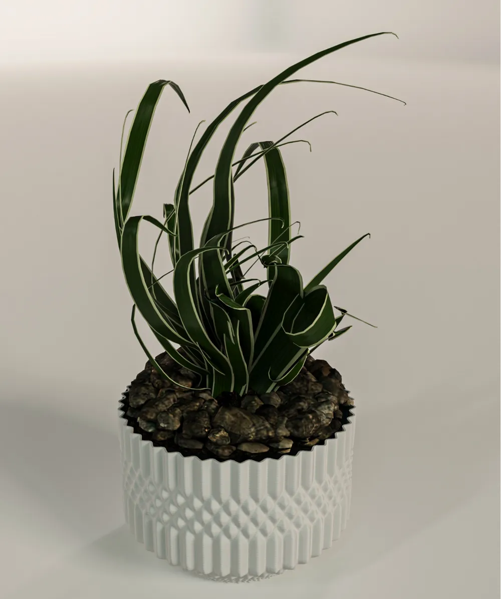 Vase - Decor, in stock in India