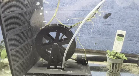 Water wheel for aquarium (Air powered), photo 4 of 4 - Water wheel for aquarium (Air powered) Pets