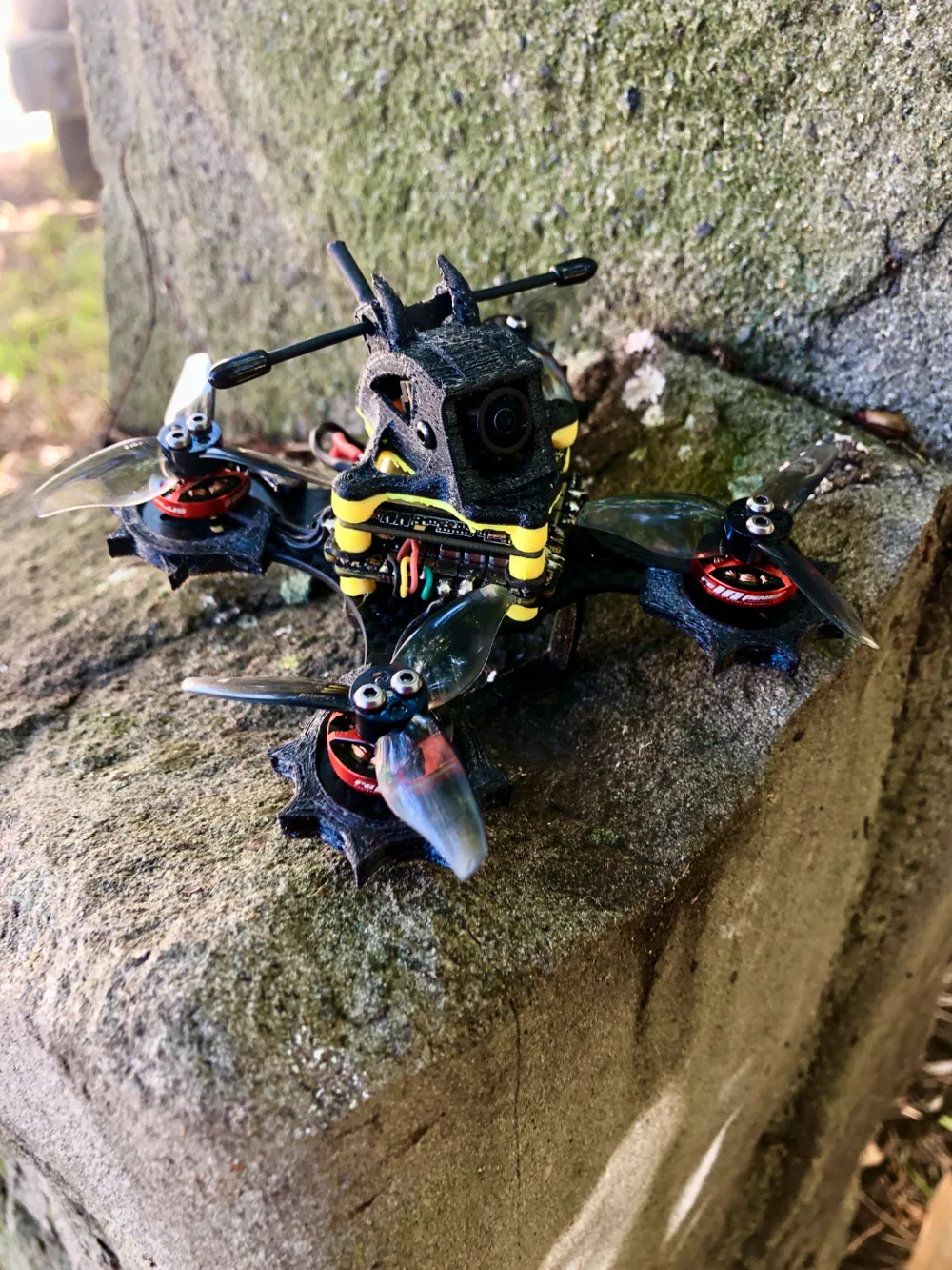 WFD 25x25 Whoop canopy (dipole), photo 2 of 2 - WFD 25x25 Whoop canopy (dipole) Hobby & DIY