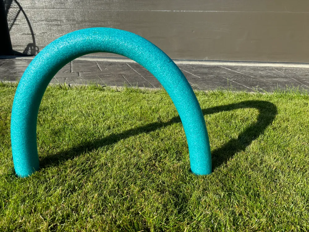 Whoop Noodle - RC, in stock in India