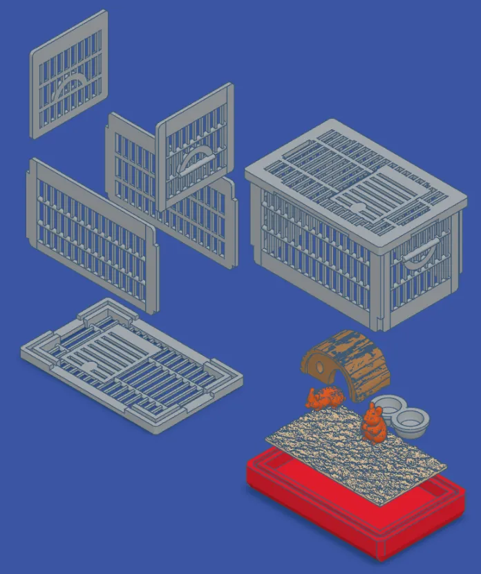 Pet Hamsters with Cage, photo 4 of 4 - Pet Hamsters with Cage Pets